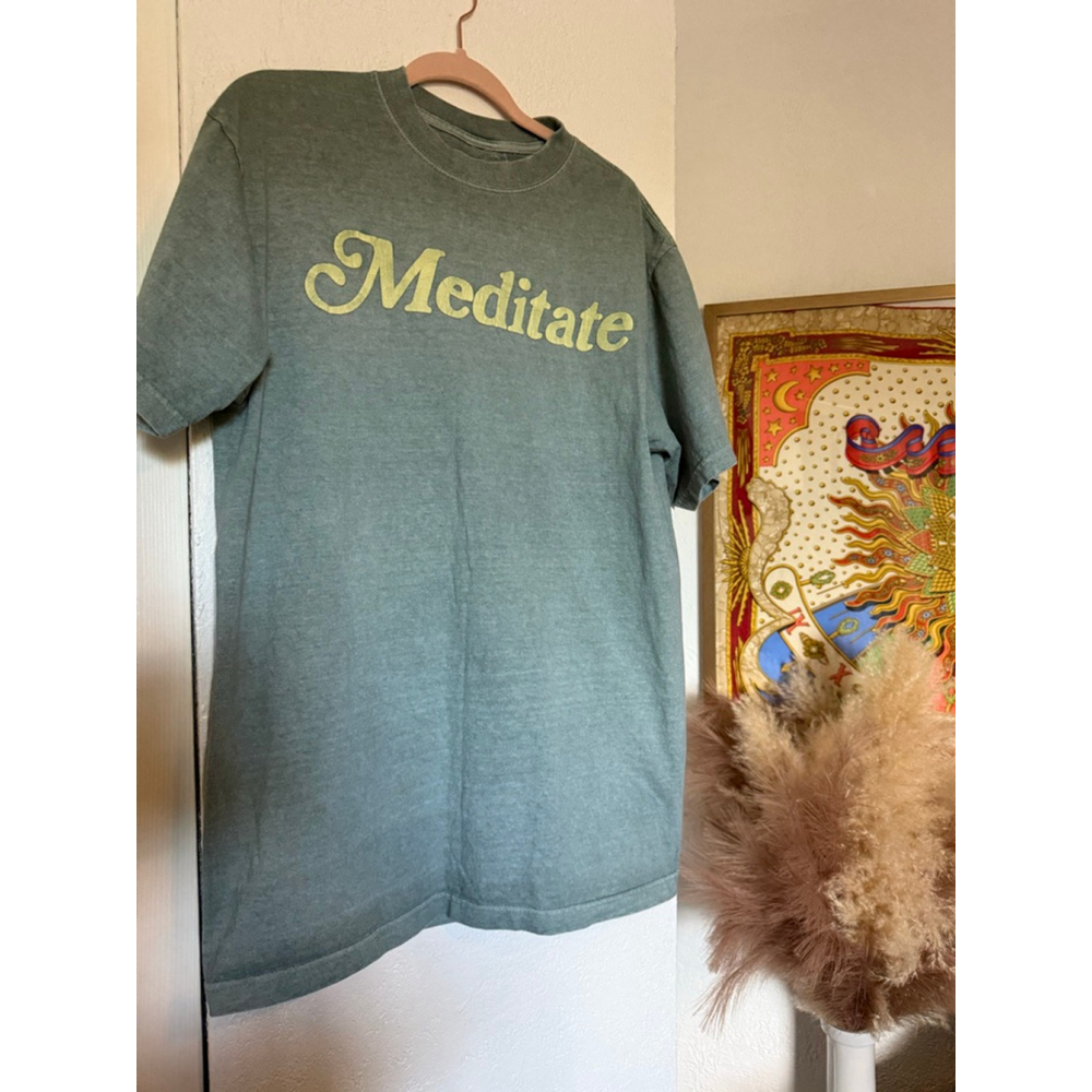 Preowned, PacSun Meditate Vintage Wash T-Shirt in sage green, large